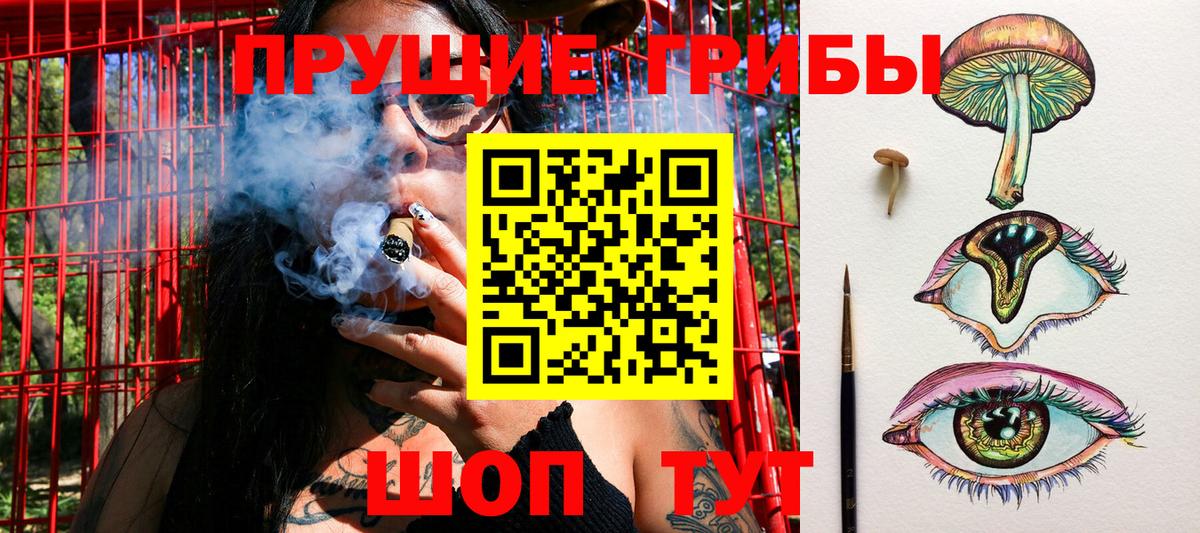 Псилоцибиновые грибы ЛСД Кировск